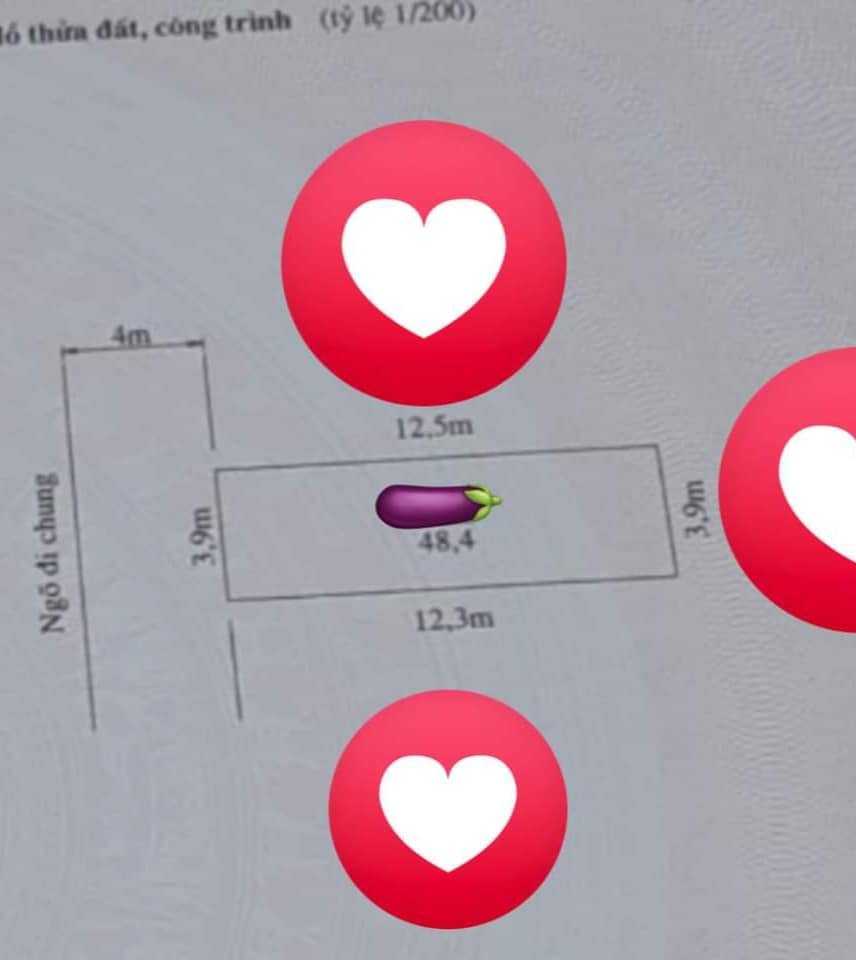 z5672941451522_c7d68c3168c3174d424f23a2b56bdaaa