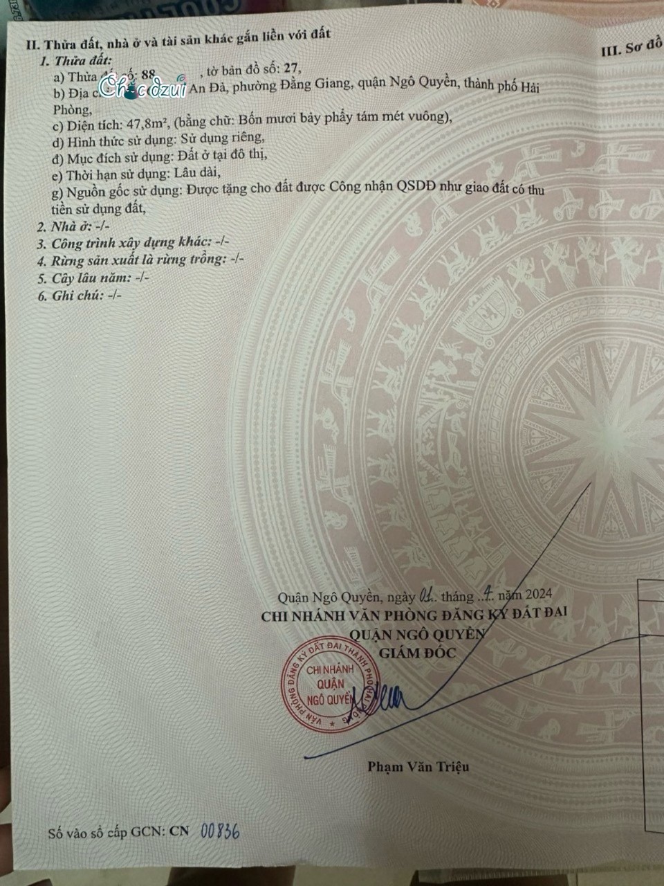 z5673642262359_67d5fd652cc9c34e5ee5c7256daa05f2