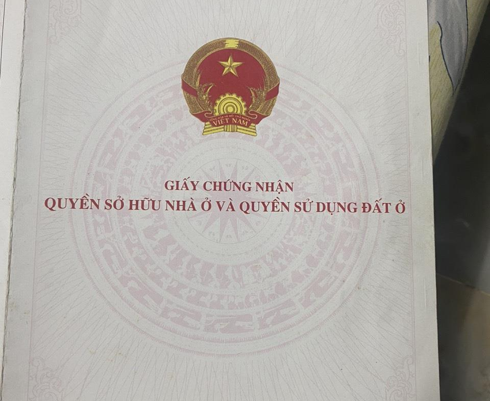 z5676422957633_b6eed988ef235439acd149411ab19362