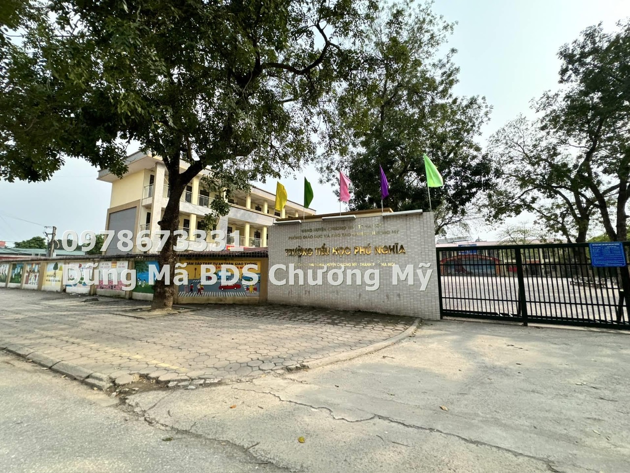 z5676684359796_772363bc39949f3e9377ff2609ab5eb8