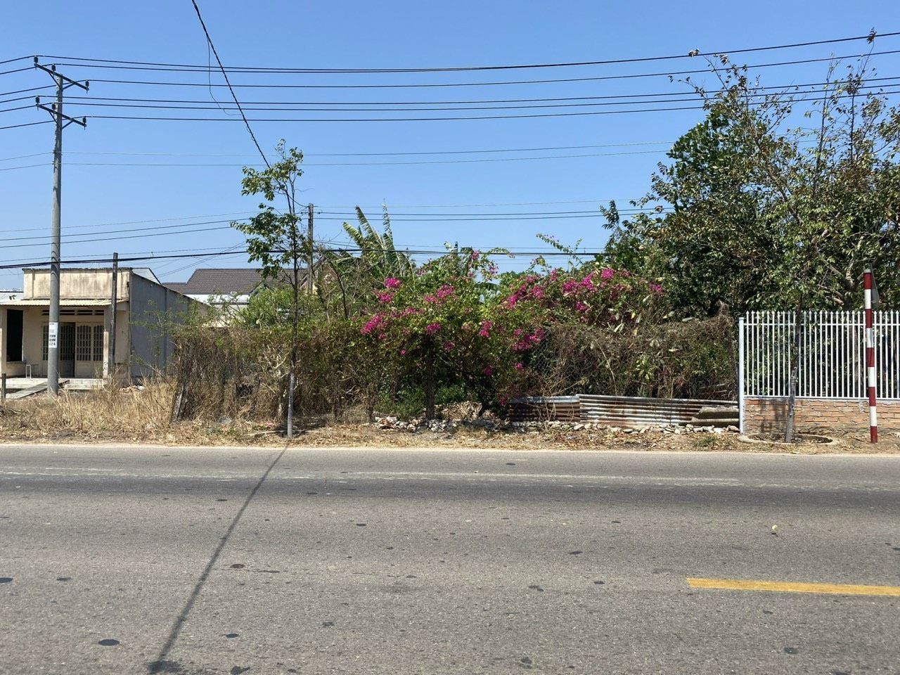 z5677414428696_b8003ad6916f9490f8b8dbefe159f556