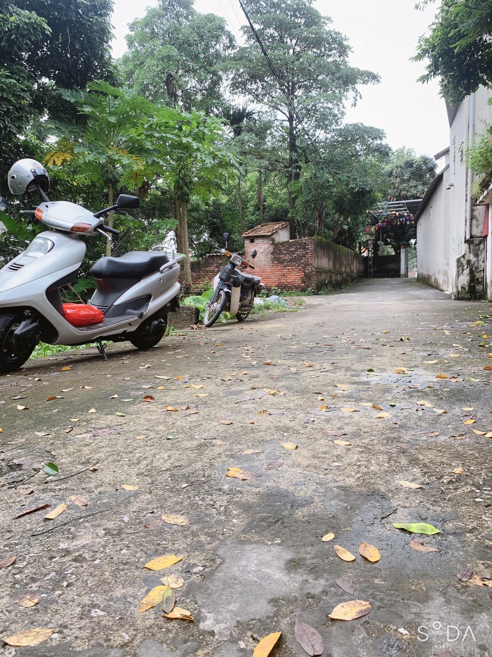 z5677830376461_69333c3b6a580de0226f26ba54da695b