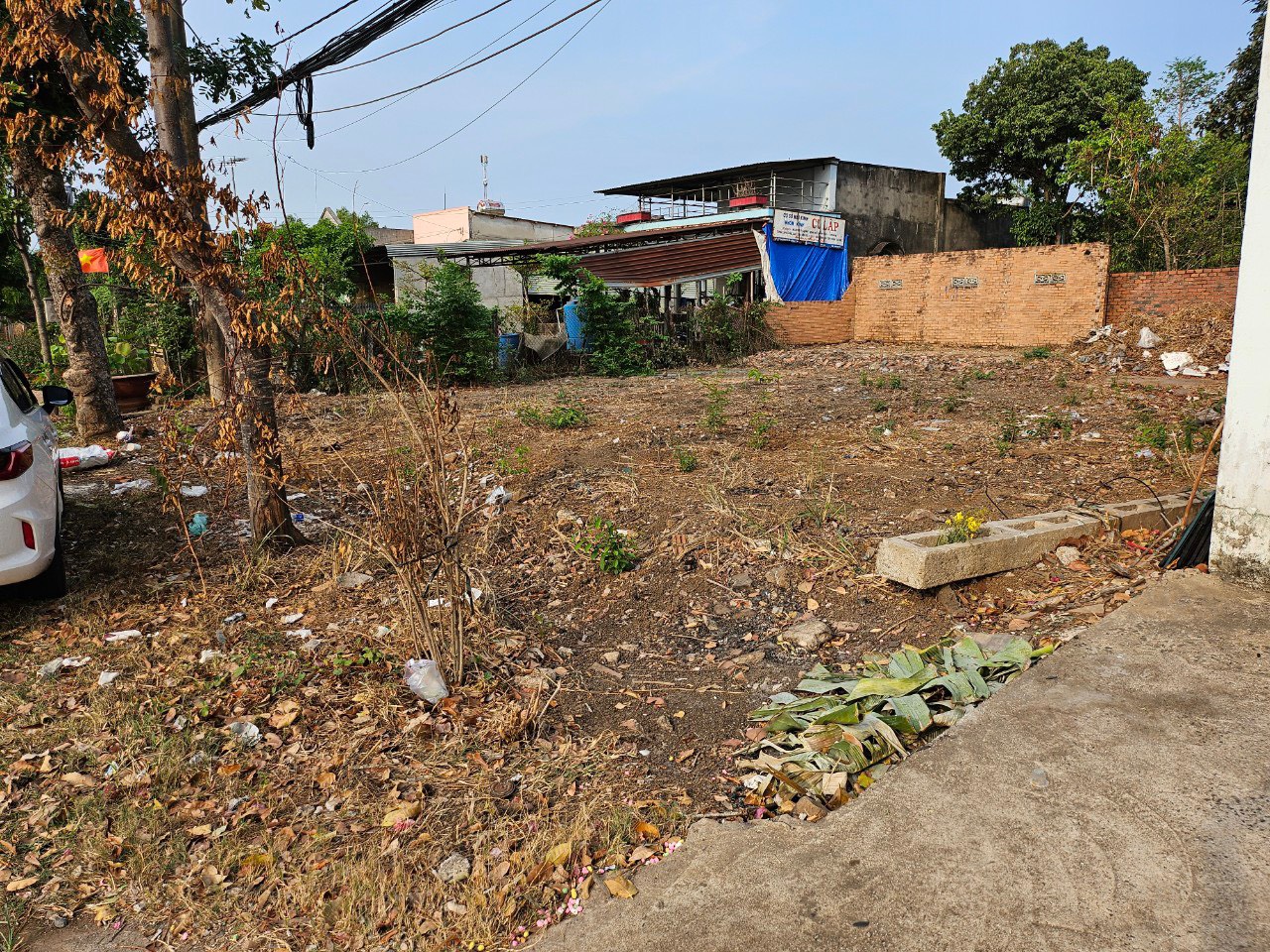 z5681237829305_969acbfdcfa4e52e9137209cfaabba51