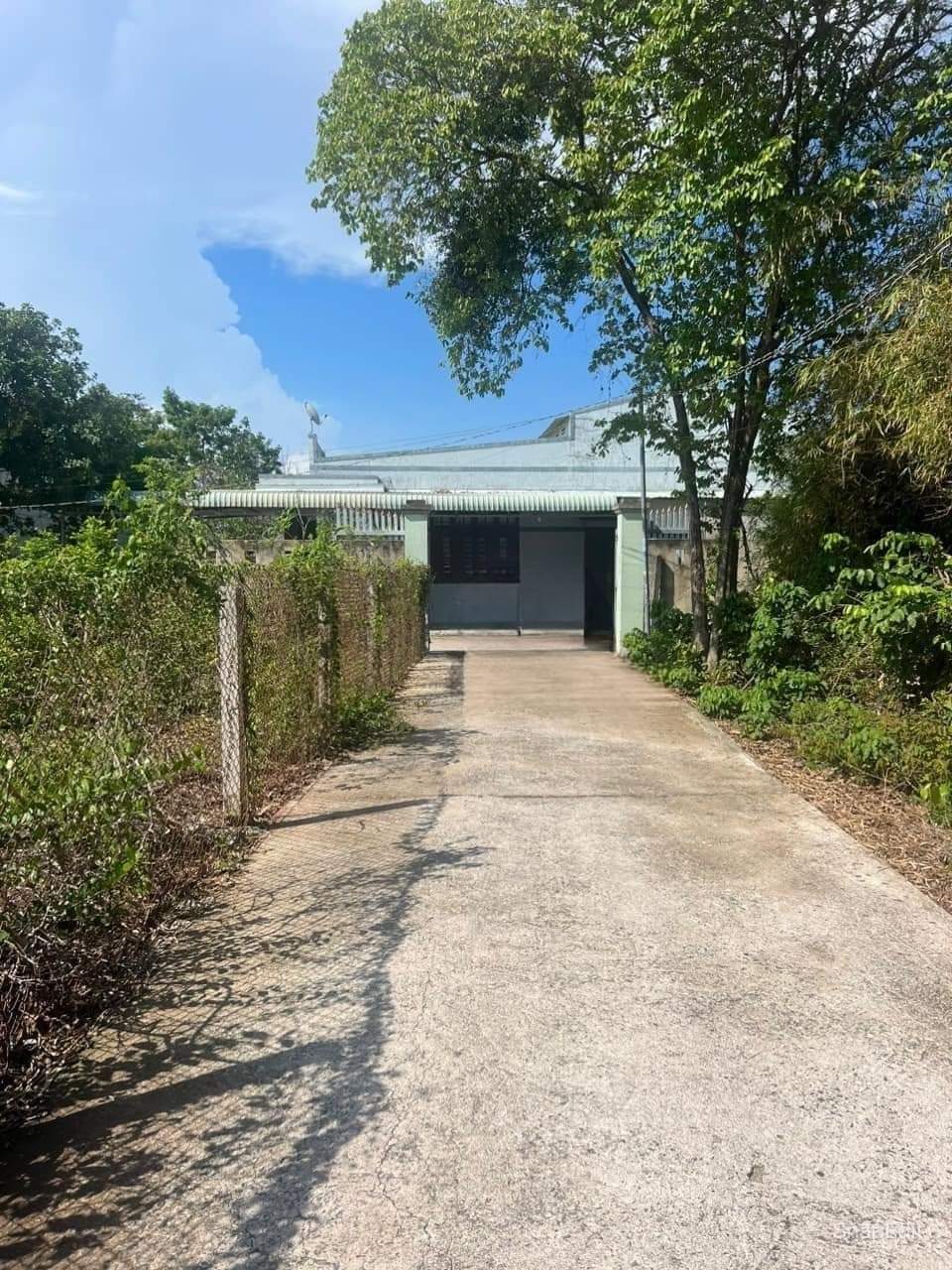 z5681665065360_8c668d184e8683a4f1cf9ee48cb7fd85