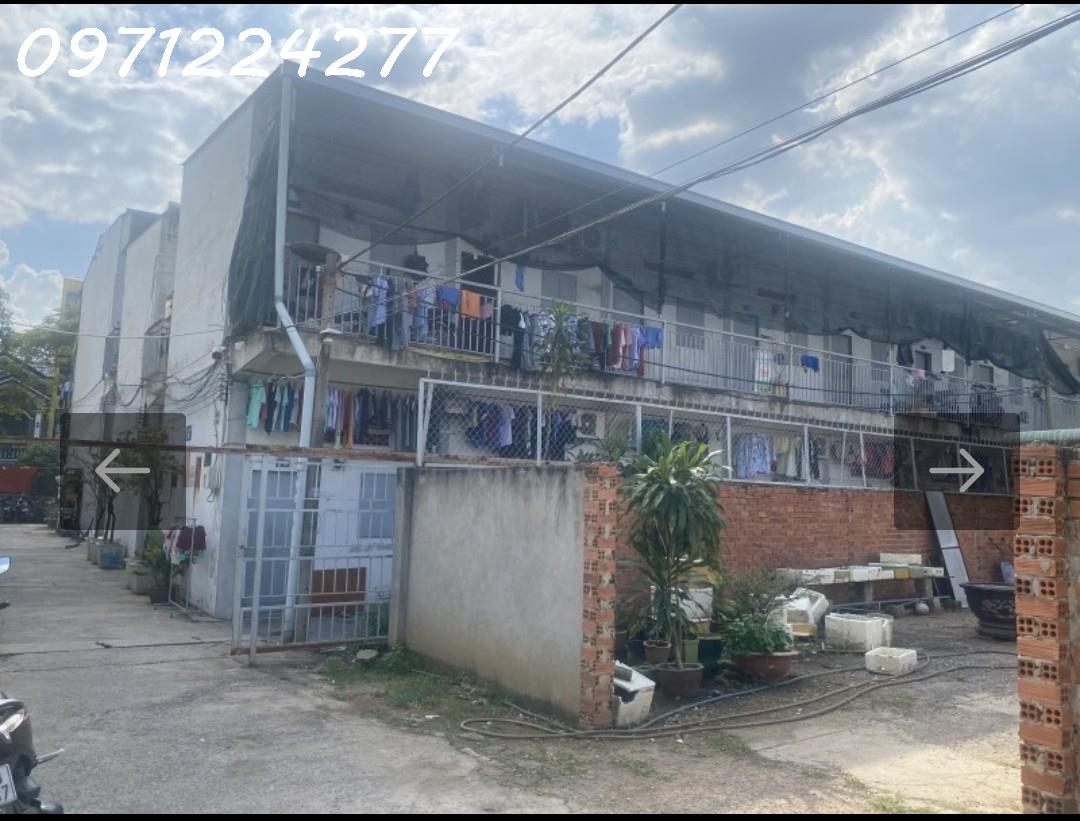 z5682399176486_f335854f56dae9594ec443c9e8167be3