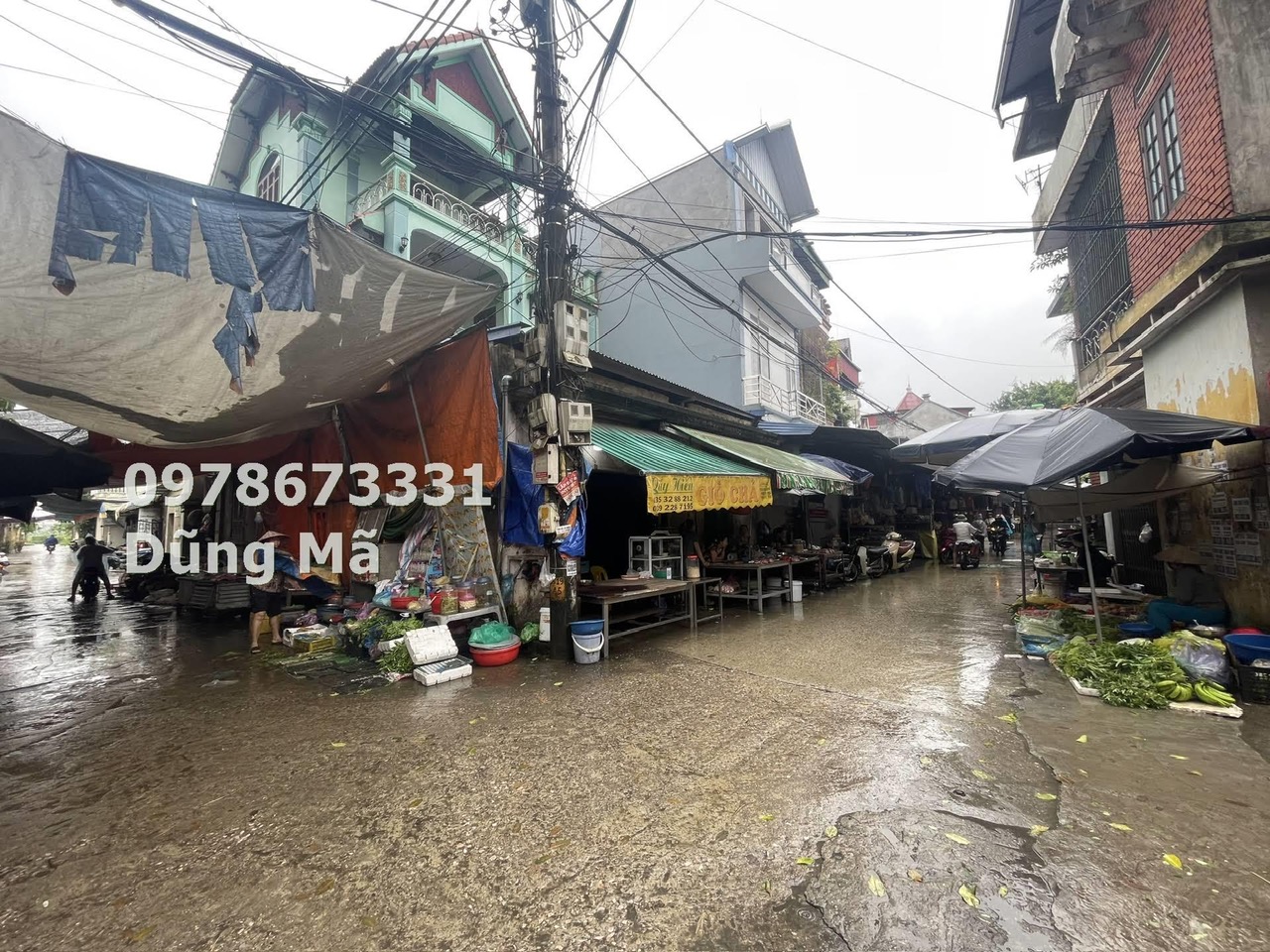 z5683155654777_d121305ae7073a9bf37128acac7e8cd8