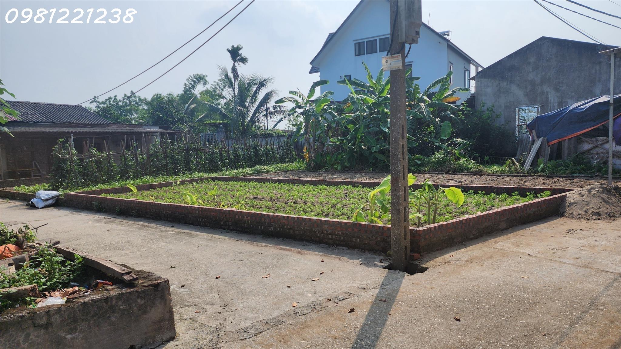 z5686134008839_f8beae7168b3f9baa6fa78a8fd0880c6