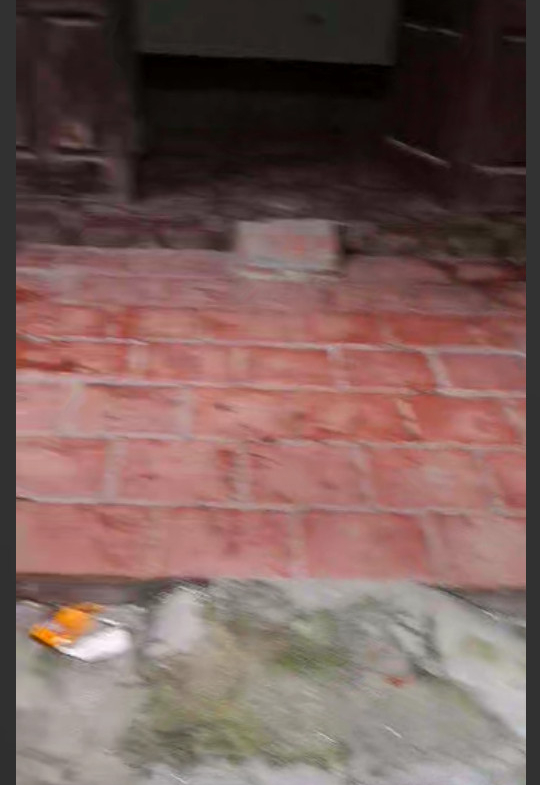 016da56ed8e47dba24f56