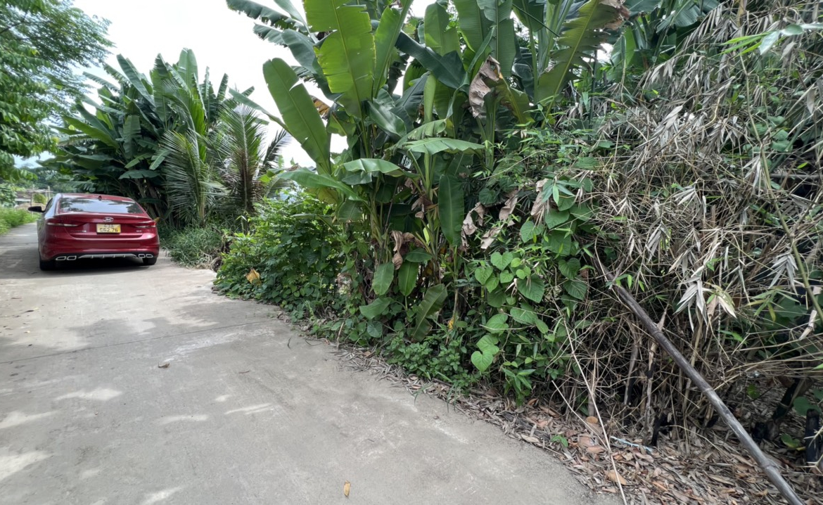 1a17bd807a16df488607