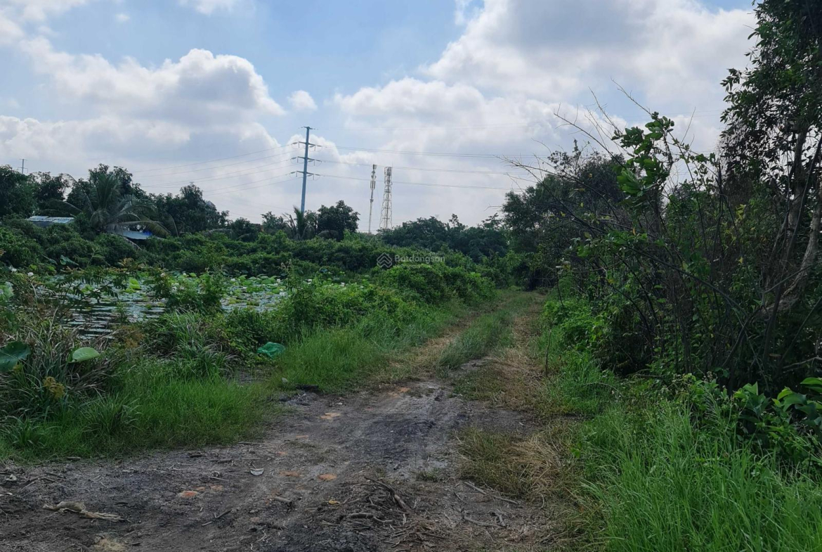 20240809101118-0319_wm