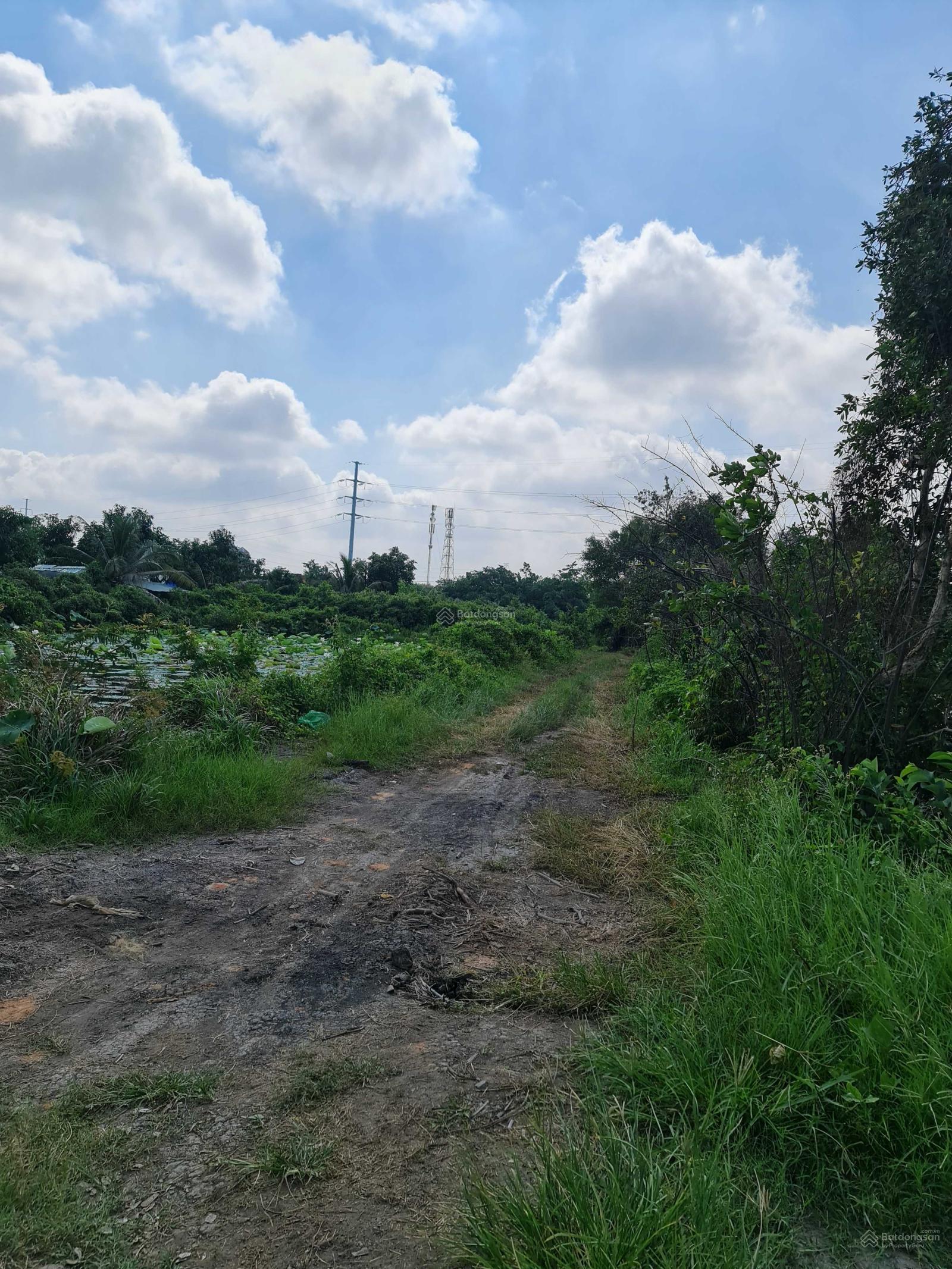 20240809101118-0319_wm