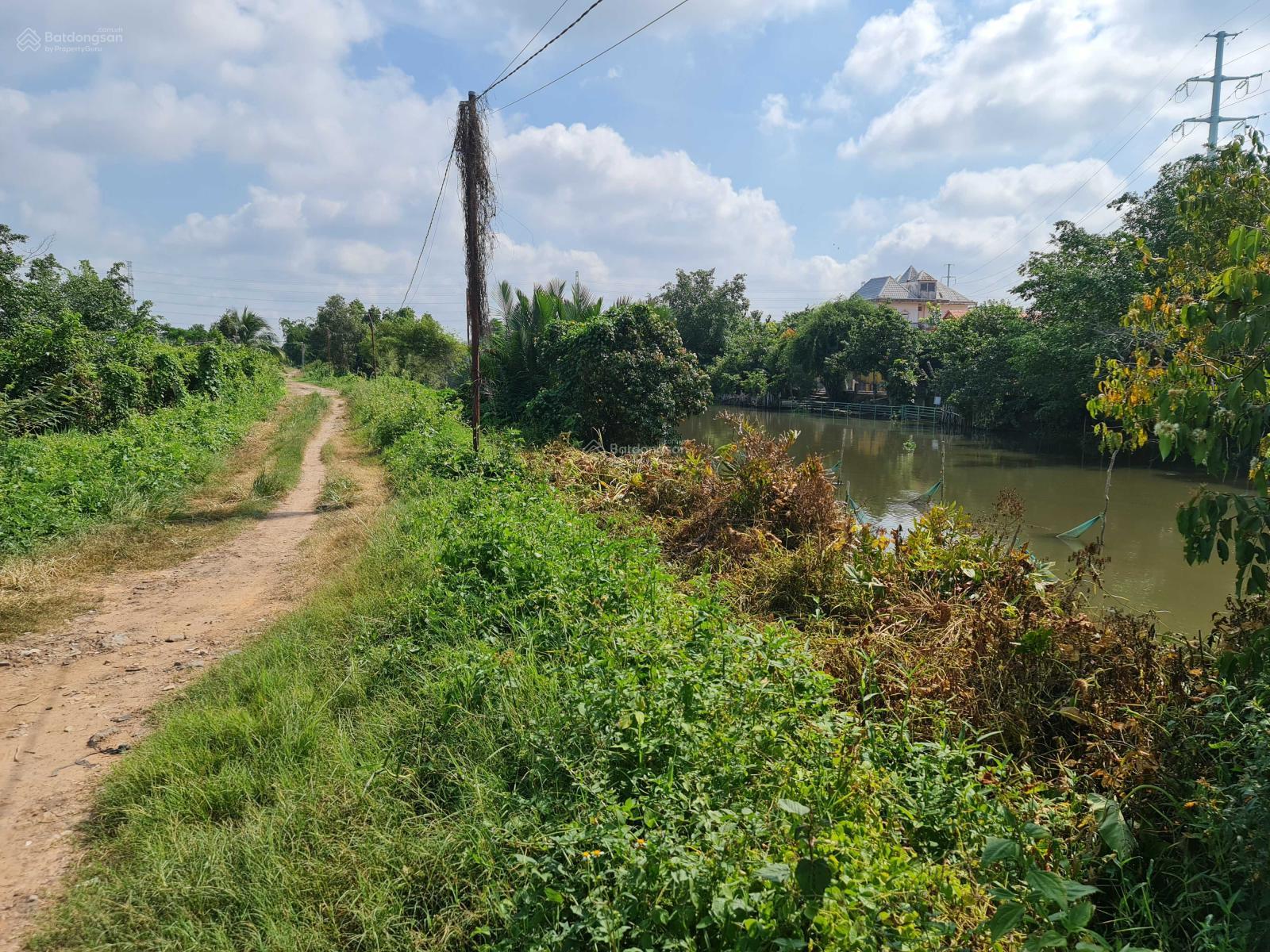 20240809101118-1269_wm