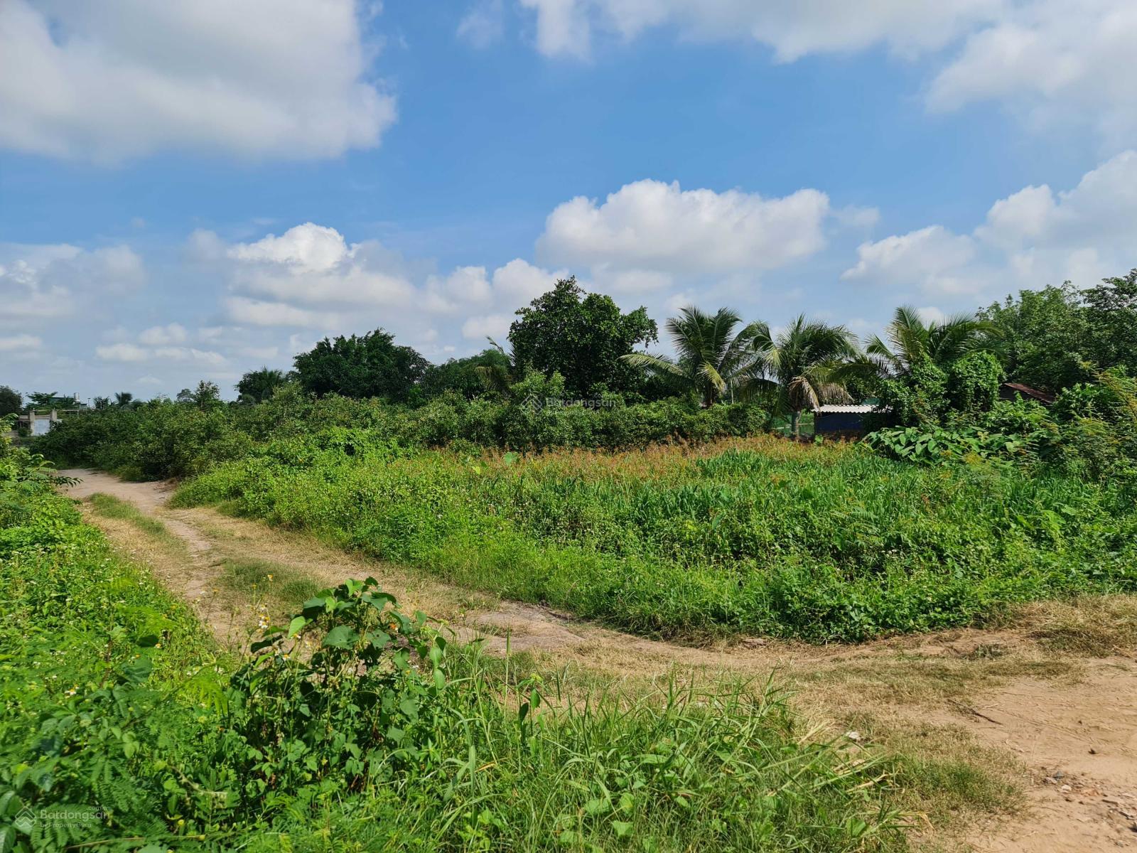 20240809101118-34cc_wm