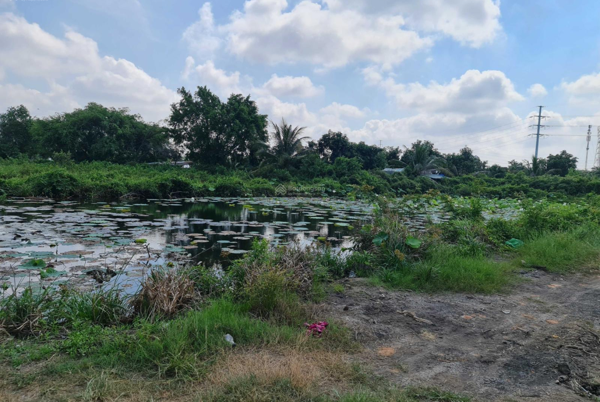 20240809101118-f459_wm