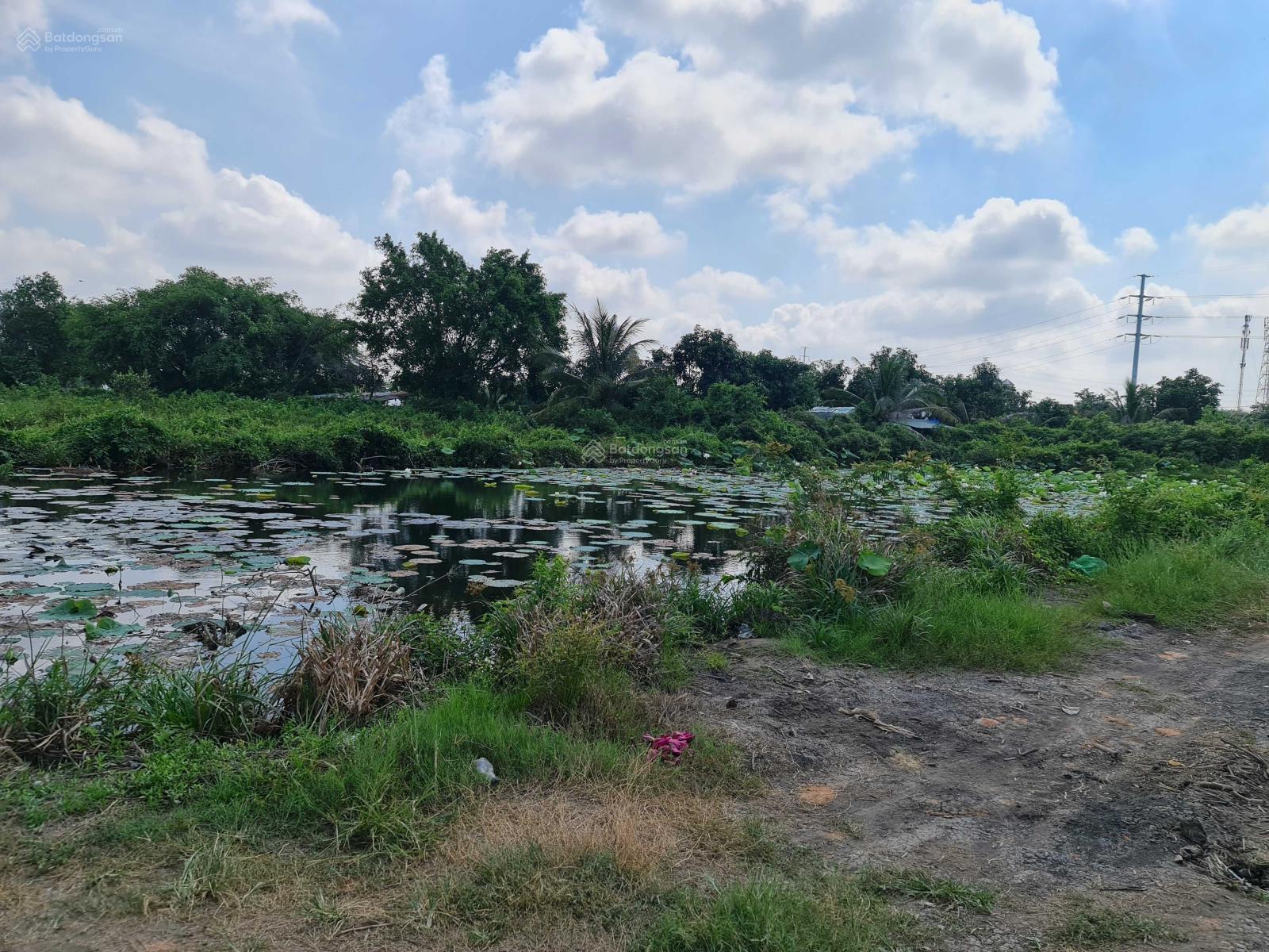 20240809101118-f459_wm