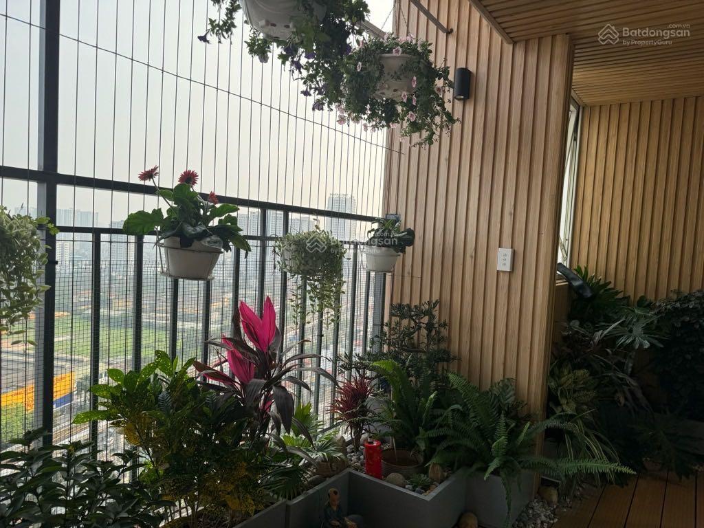 20240812132808-b5d6_wm (1)