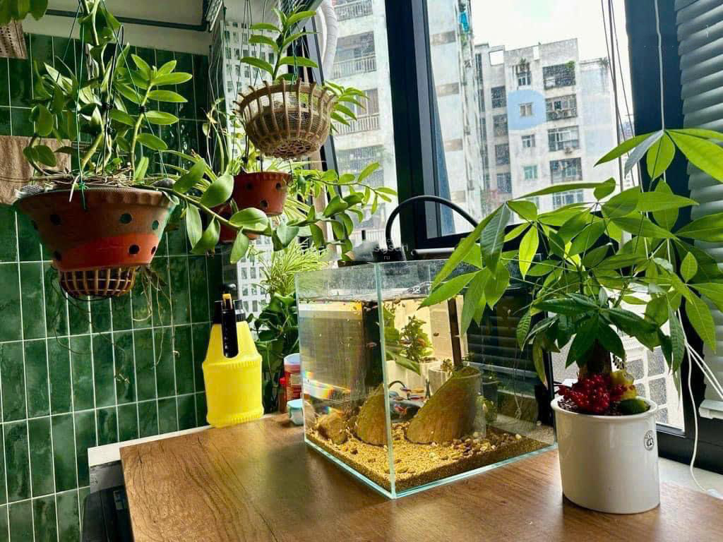 20240828161438-9841_wm