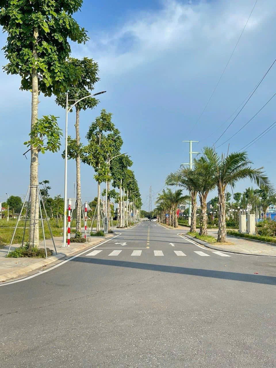 21cd779c9a293e776738