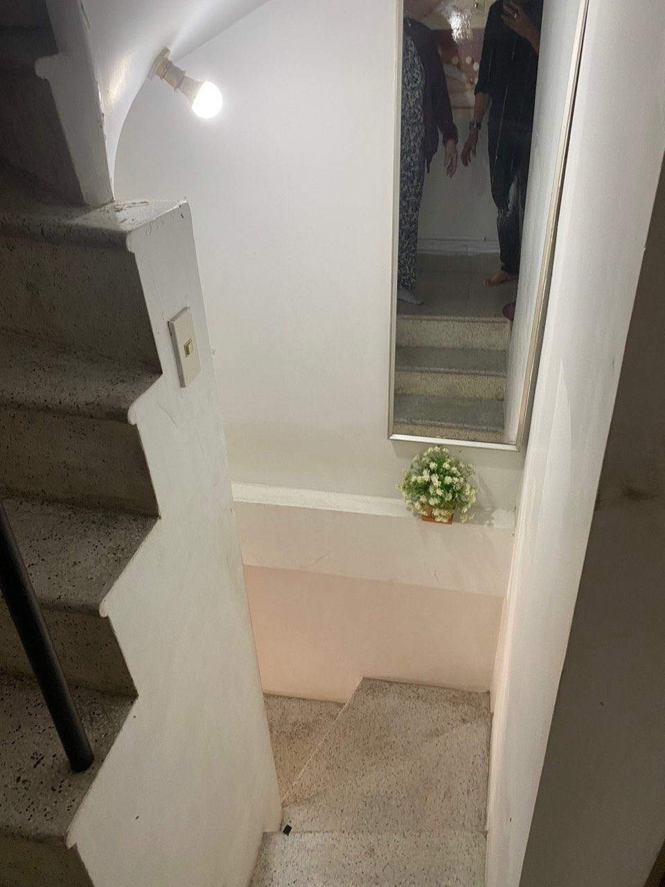 3bf23e681ee5bbbbe2f410