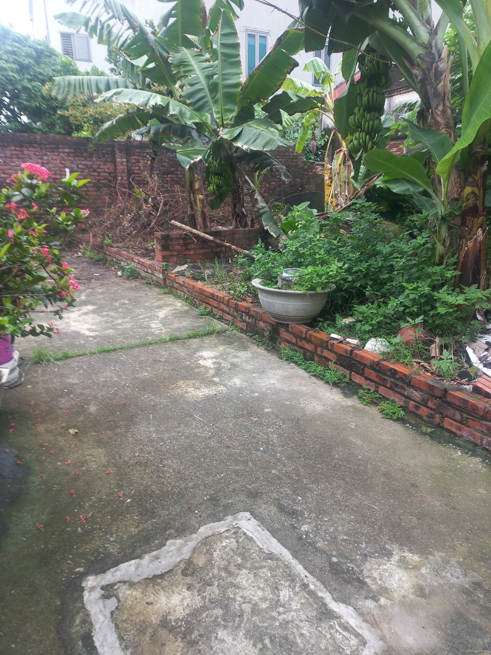 41.7m2xomdongxuannon (2)