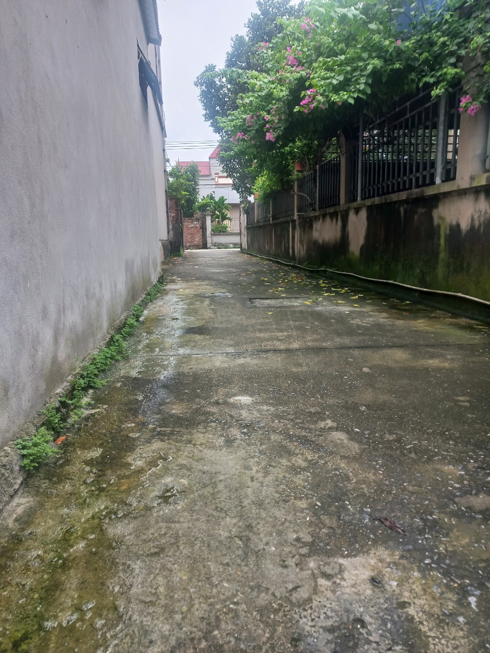 41.7m2xomdongxuannon (3)