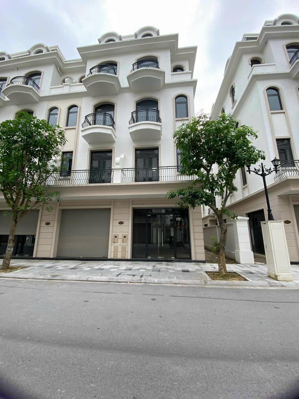 447677889_1137340237571601_8232655004826216636_n