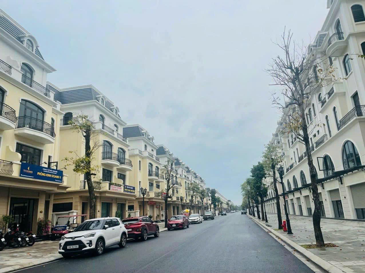 447681039_1137340244238267_2123400049456297639_n