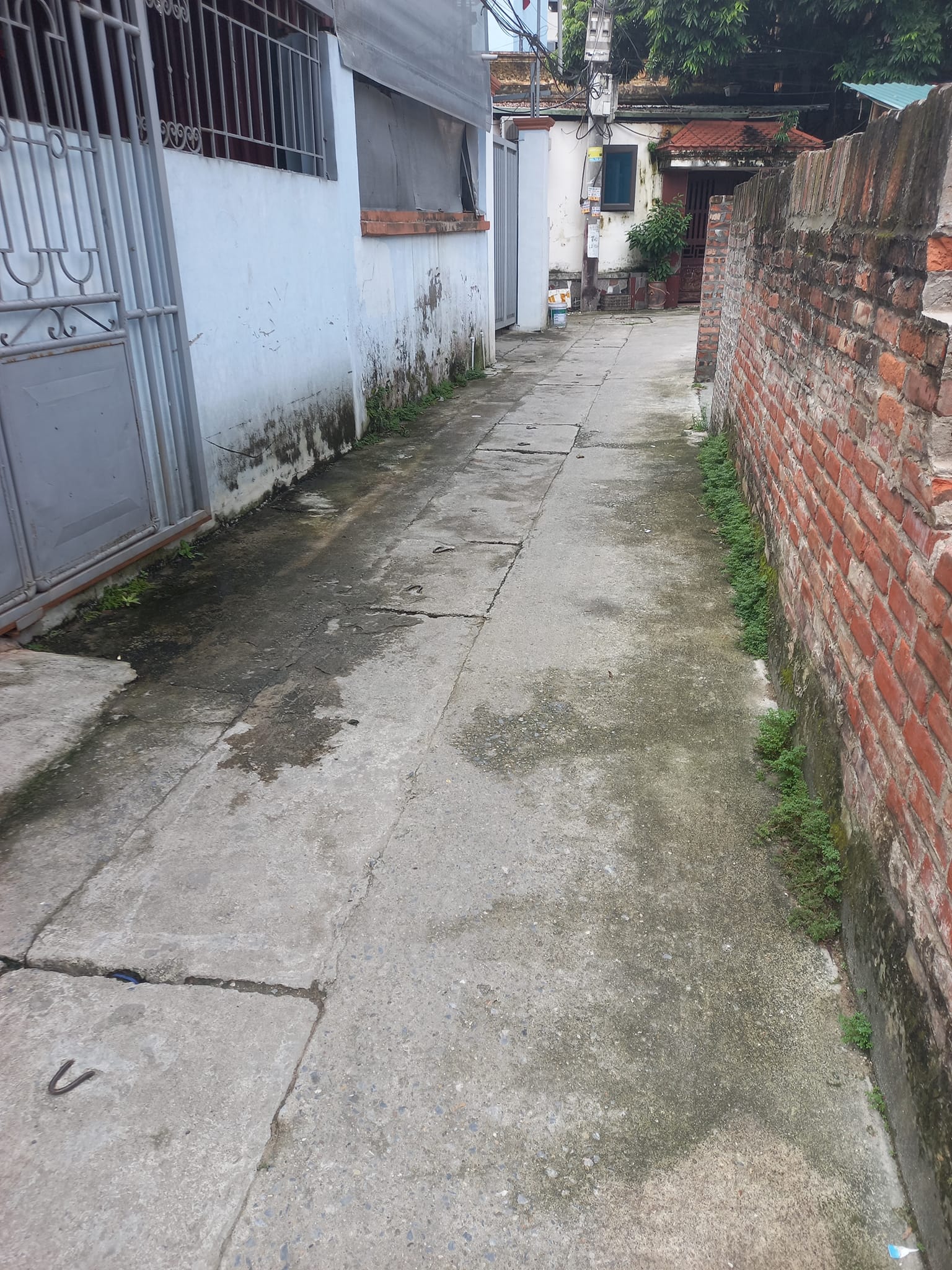 452380533_2880684348752316_1014495871735959940_n