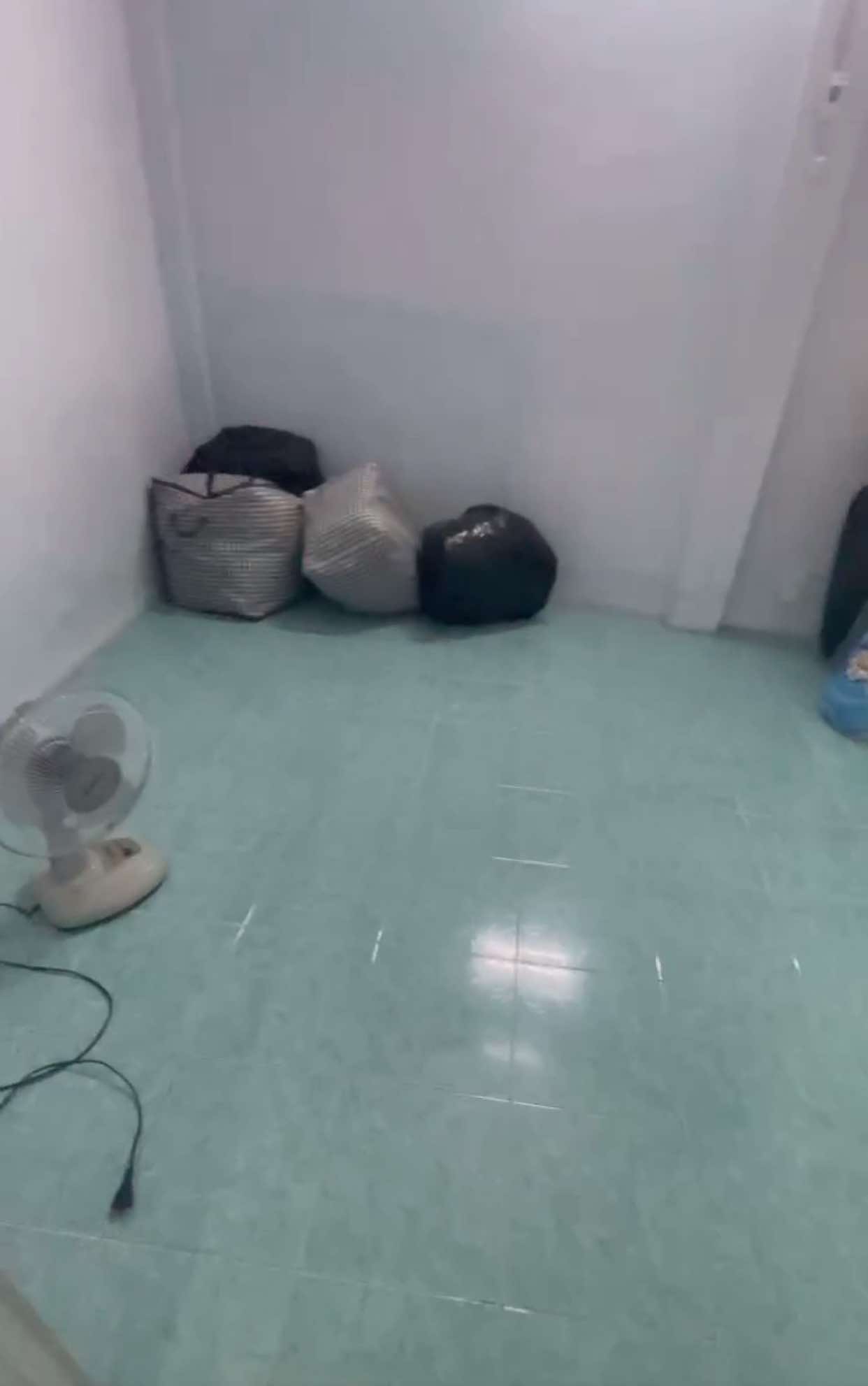 453437148_3933245420333427_3718547613407686129_n
