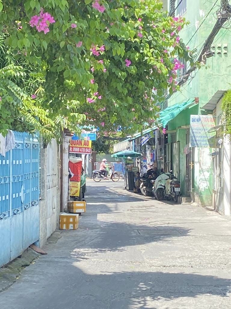 453483205_1003936684863897_671478087441907336_n