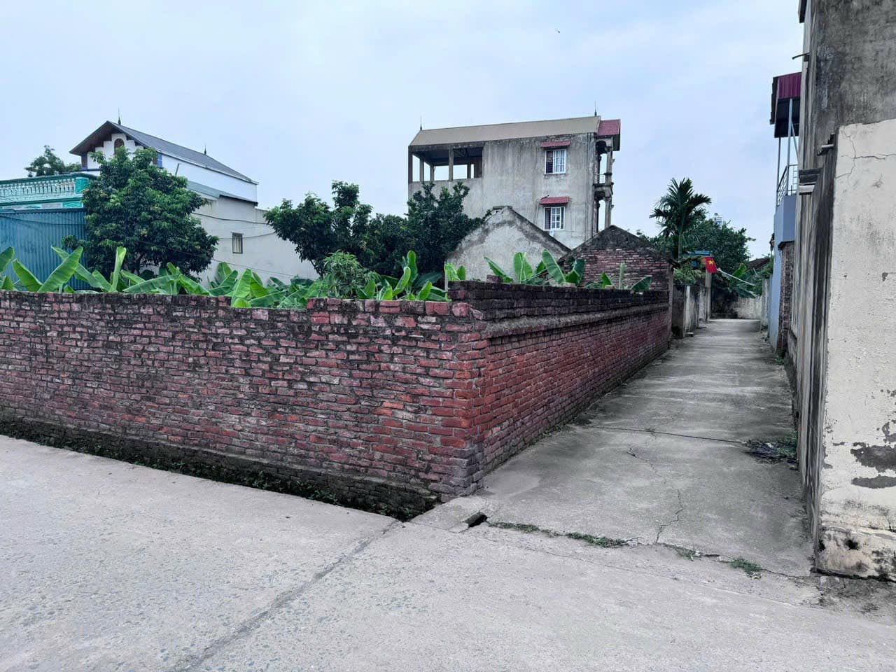 453490388_2744387089063165_2970023873062087151_n