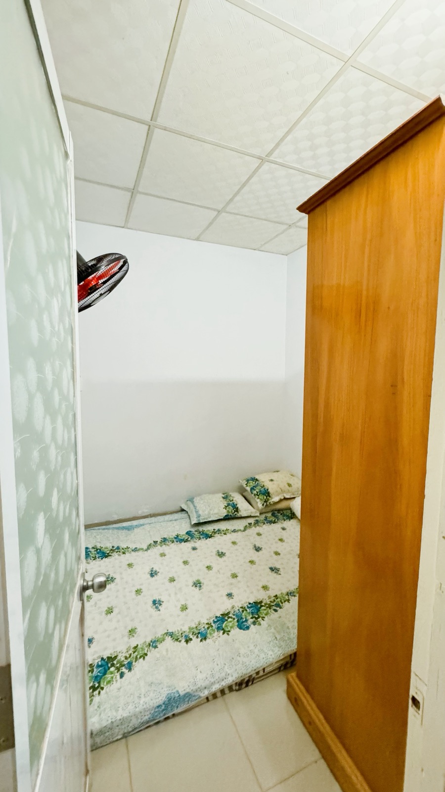 454006887_1195777294908438_2476511603533035154_n