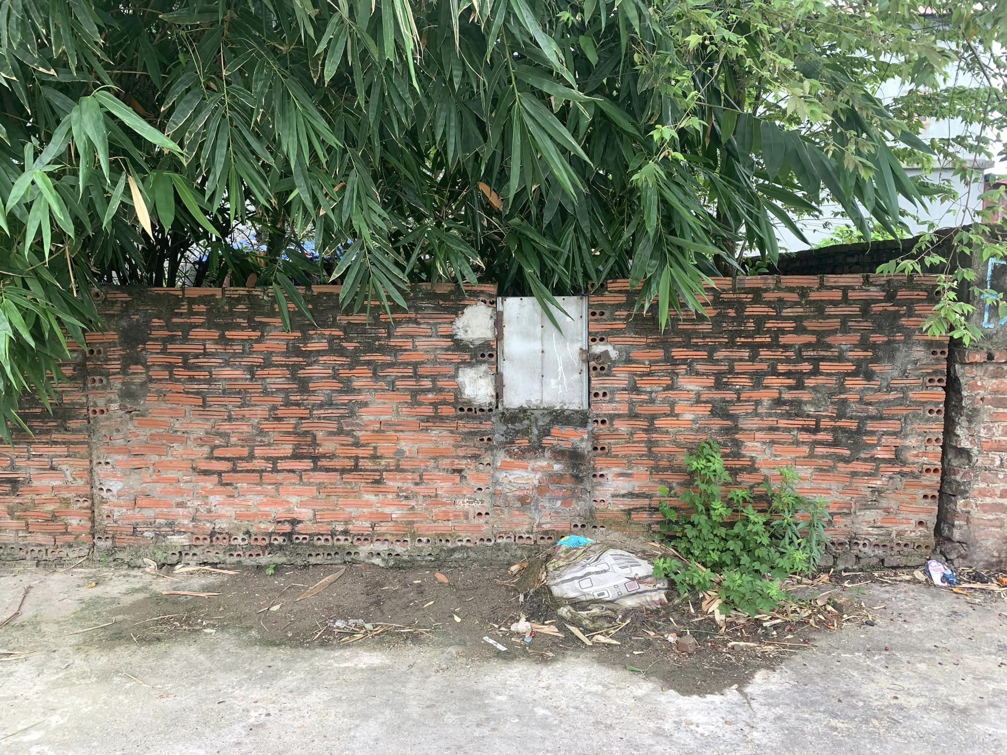 455040037_2819871861494820_5389889671378010081_n