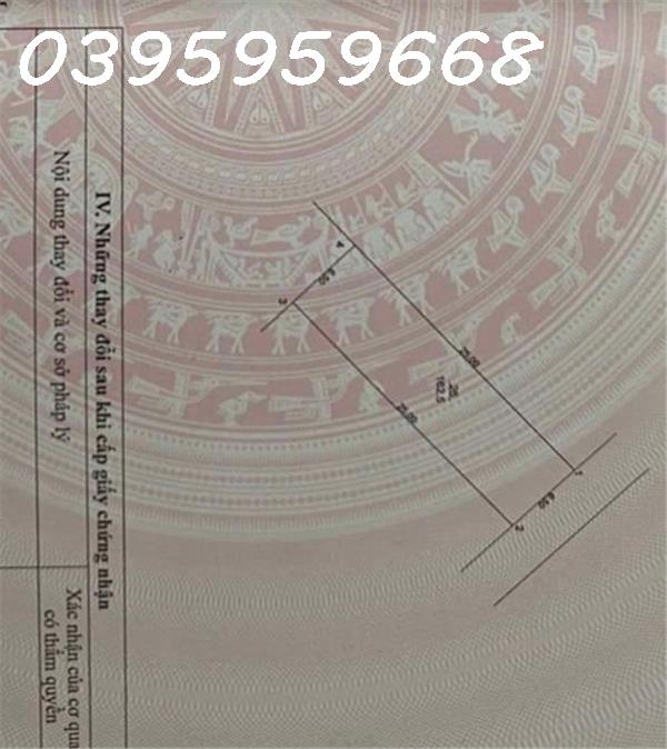 455122966_516676544175990_3854460052684440517_n