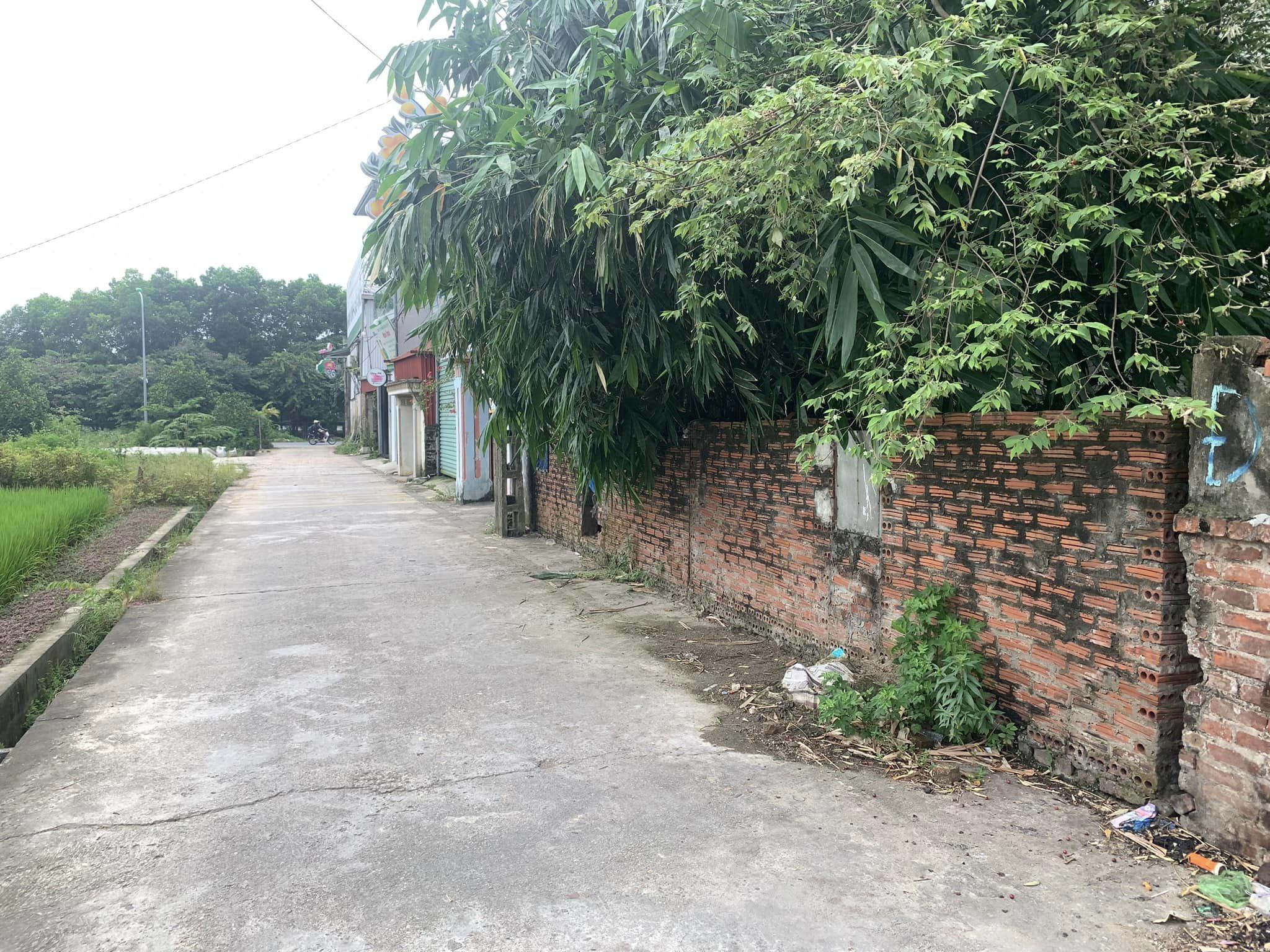 455219590_2822502007898472_2519435120729823485_n