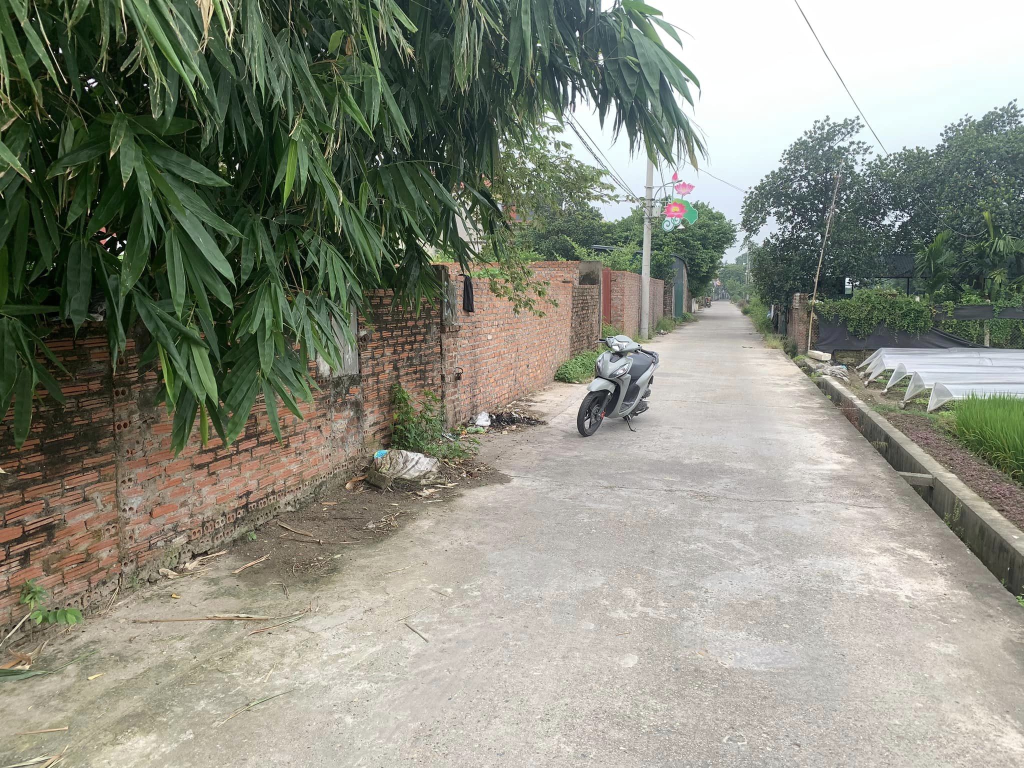 455246340_2819872004828139_8614070966221347712_n