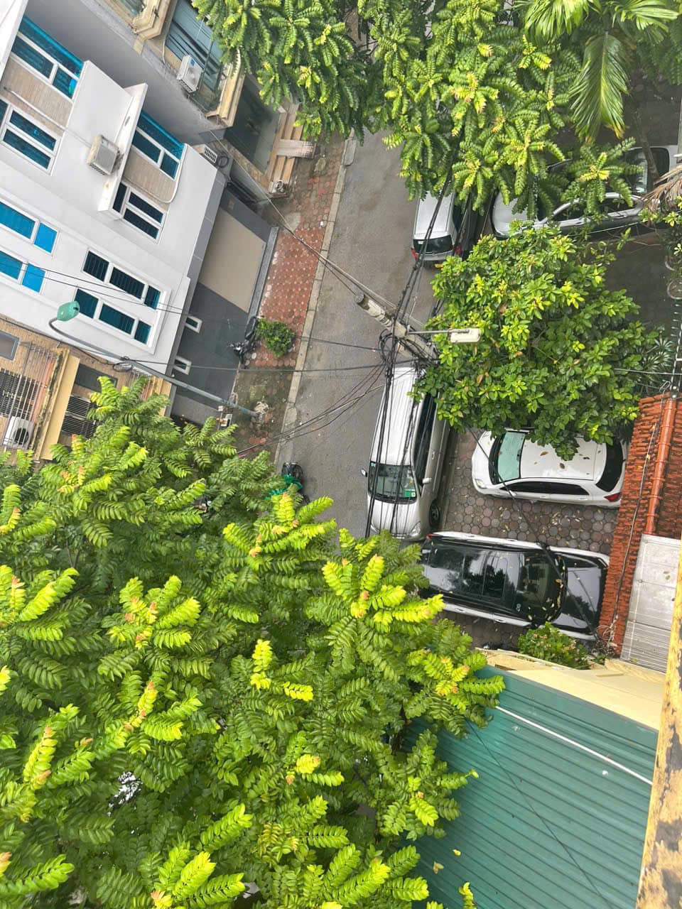 455327747_8160389600747282_2054717275451014596_n