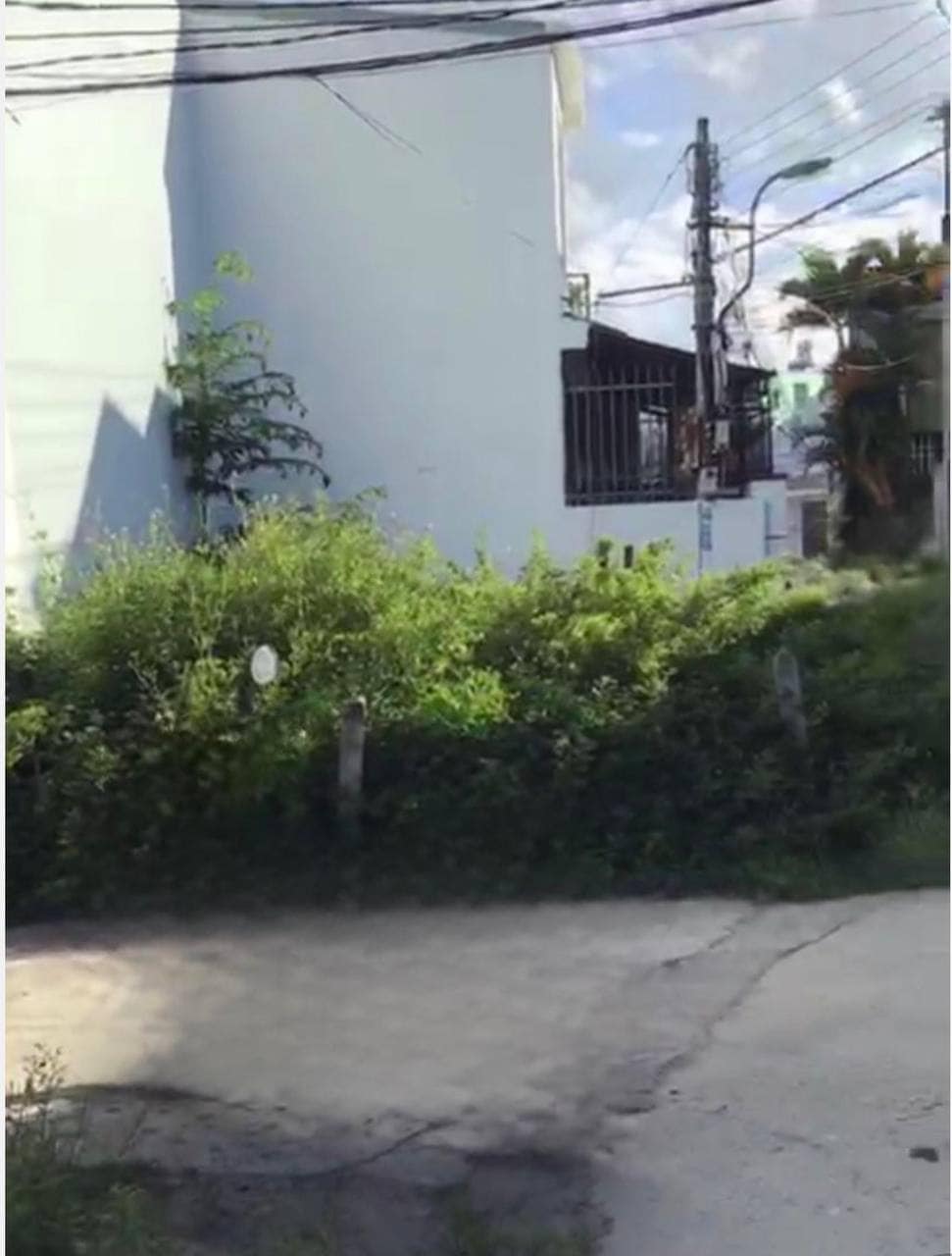 456984875_4123657621292830_5001091286803401342_n