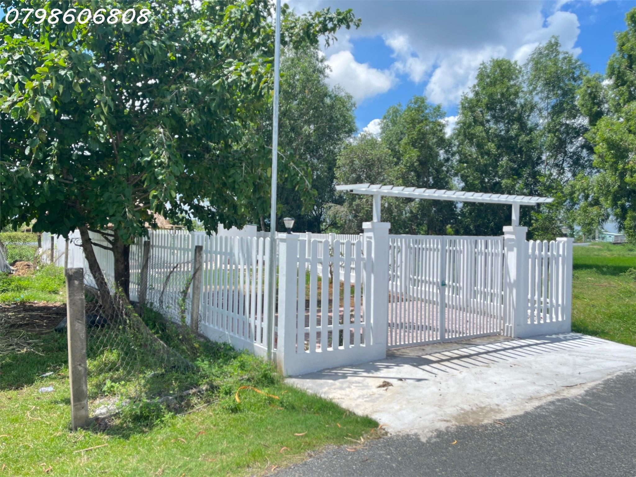 46f8ed61da087e562719