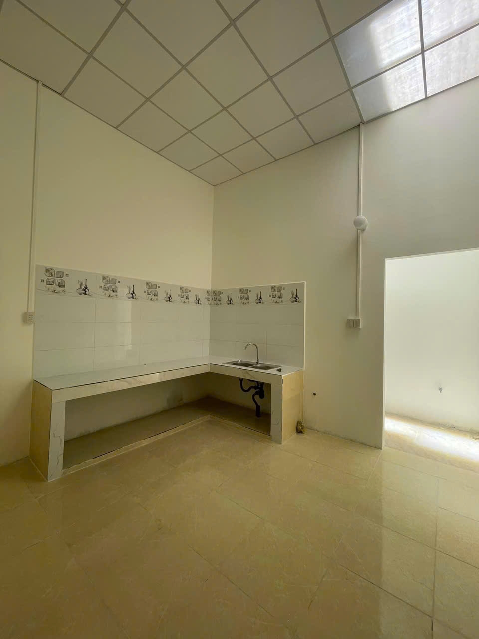 5edd0224fed75a8903c649