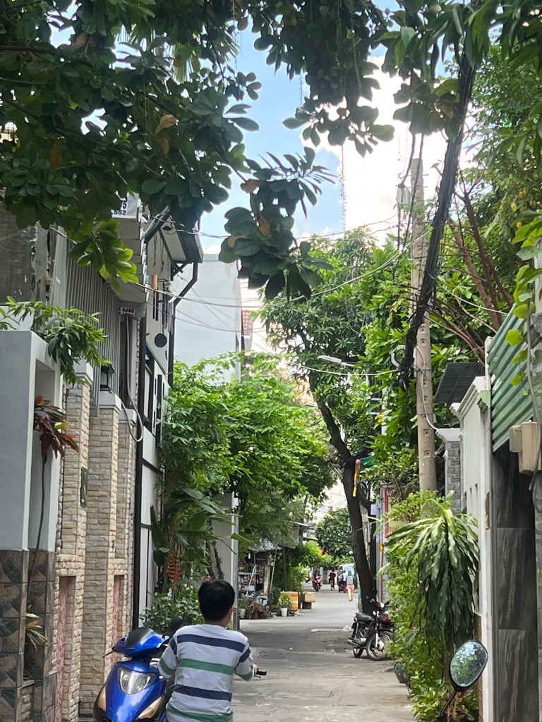 7fg-7DE1FD5D-lzjt3sok_9_lzjt3t0x