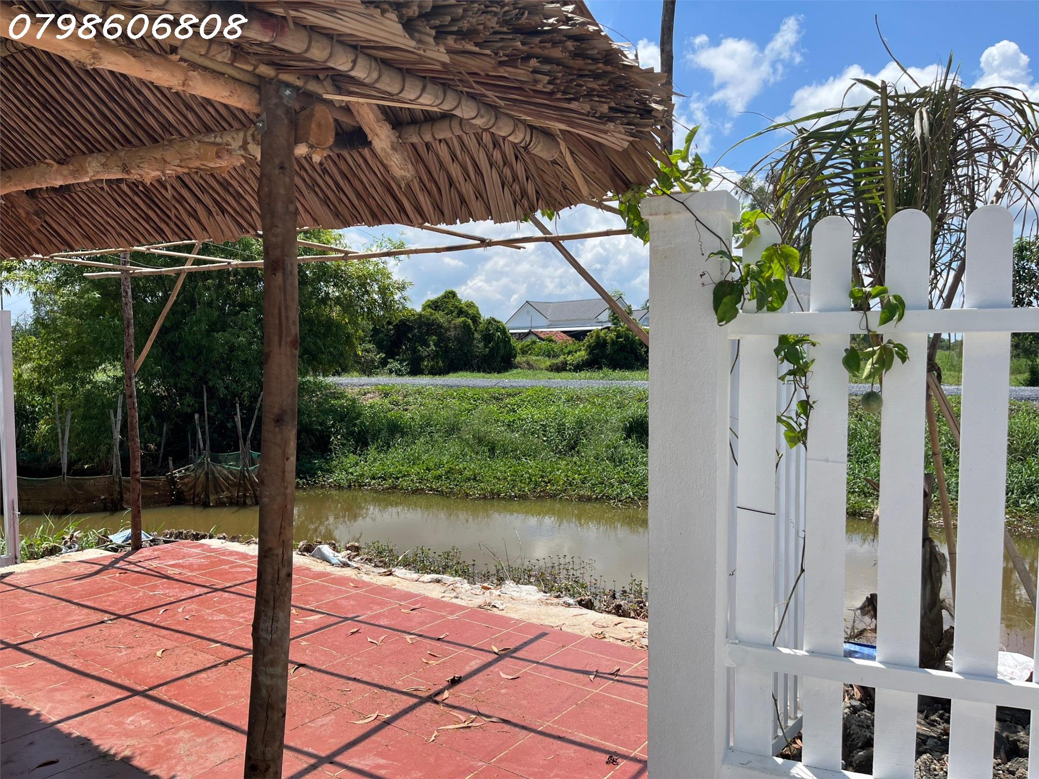 87d2ded8e8b14cef15a0