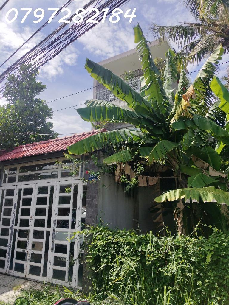 aoe-C595A8AA-lxzkv22n_10_lxzkv26h