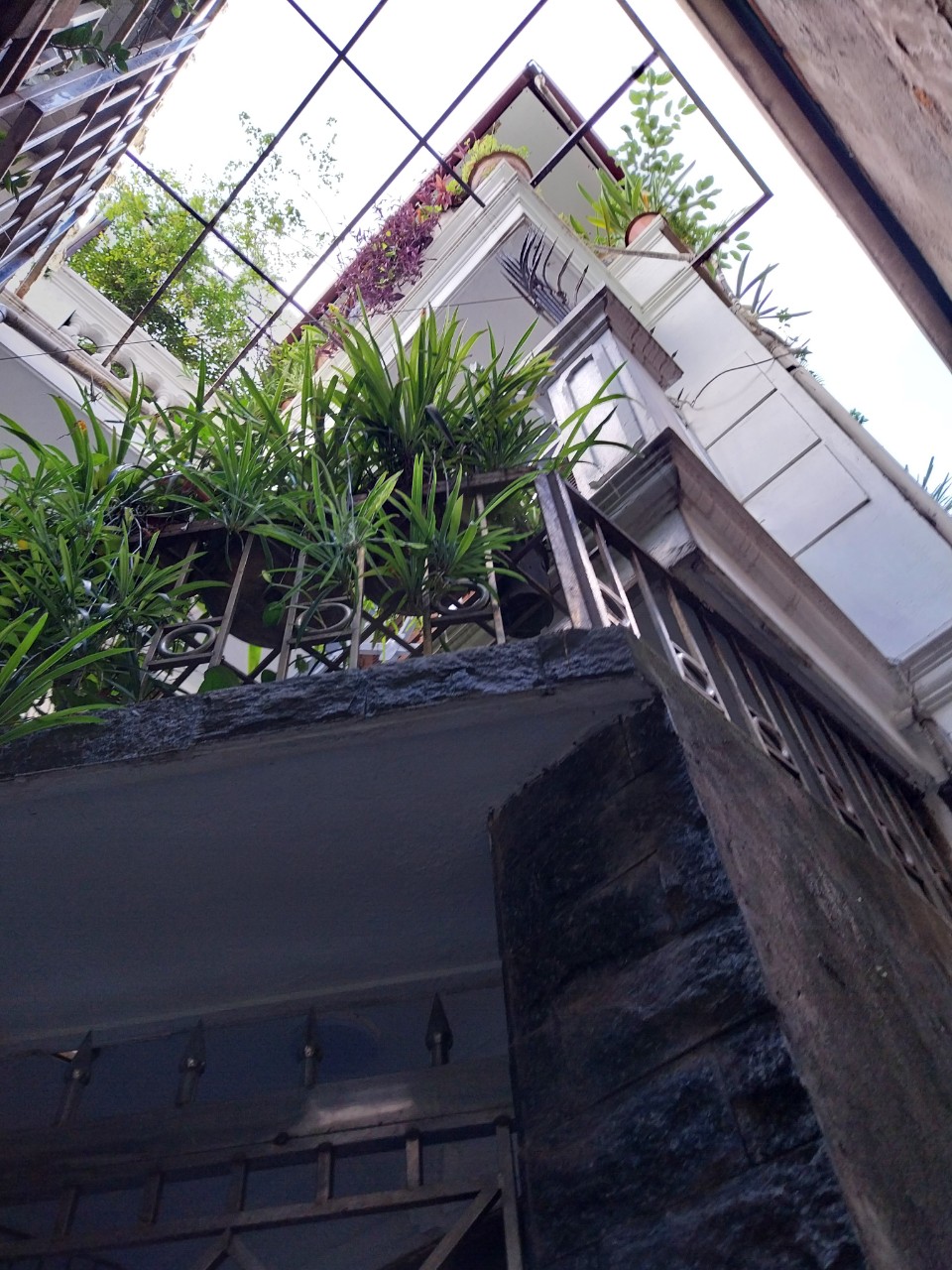 baf0d33dc59360cd398214