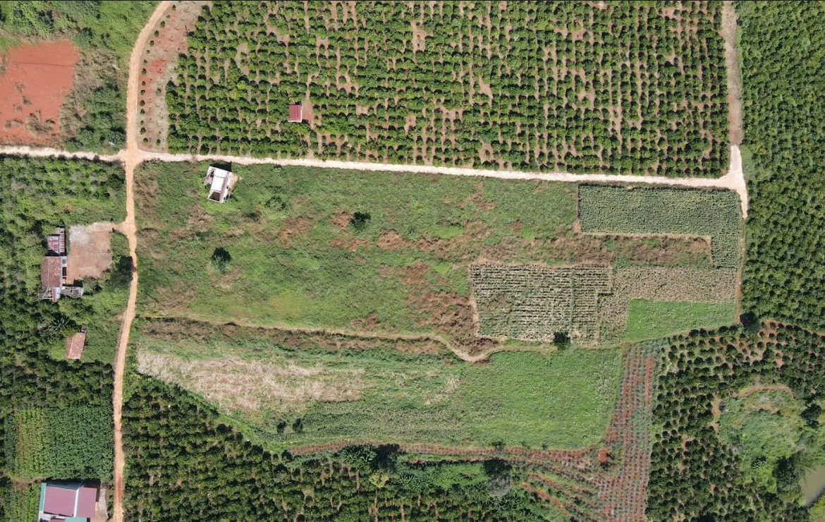 c886201993c937976ed84