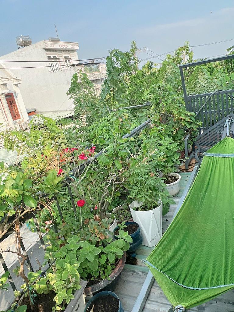 daw-B753C9AF-lxle0h20_19_lxle0hdo (2)