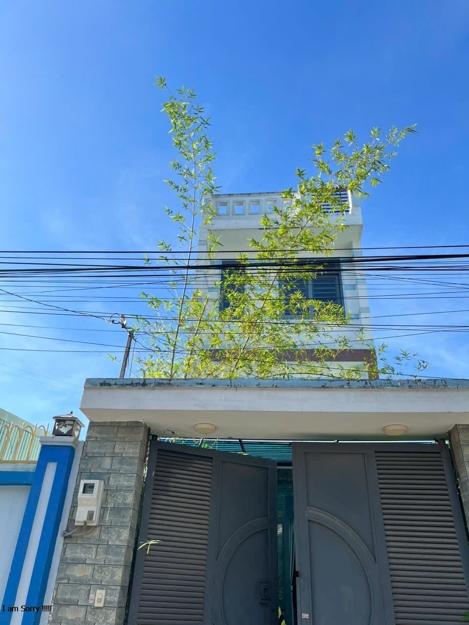 e3da0089234c6831e3806ffeb4b8363b