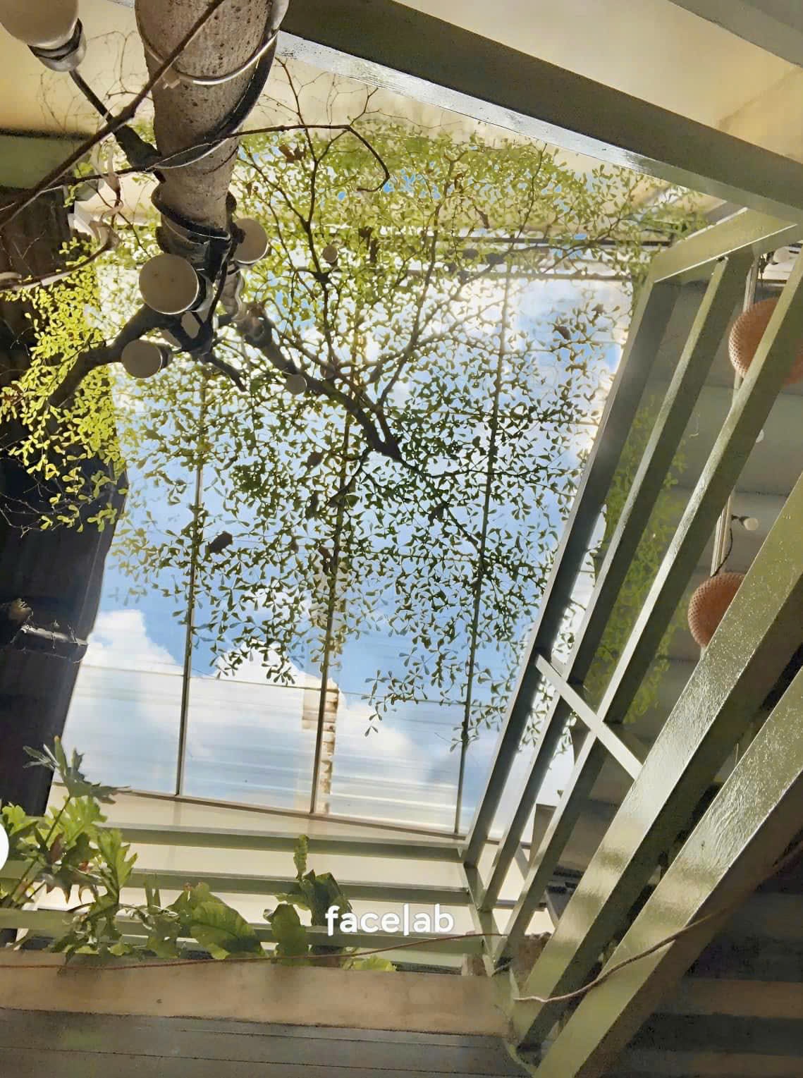 f3645665-a62b-4503-ad92-54727a61939b