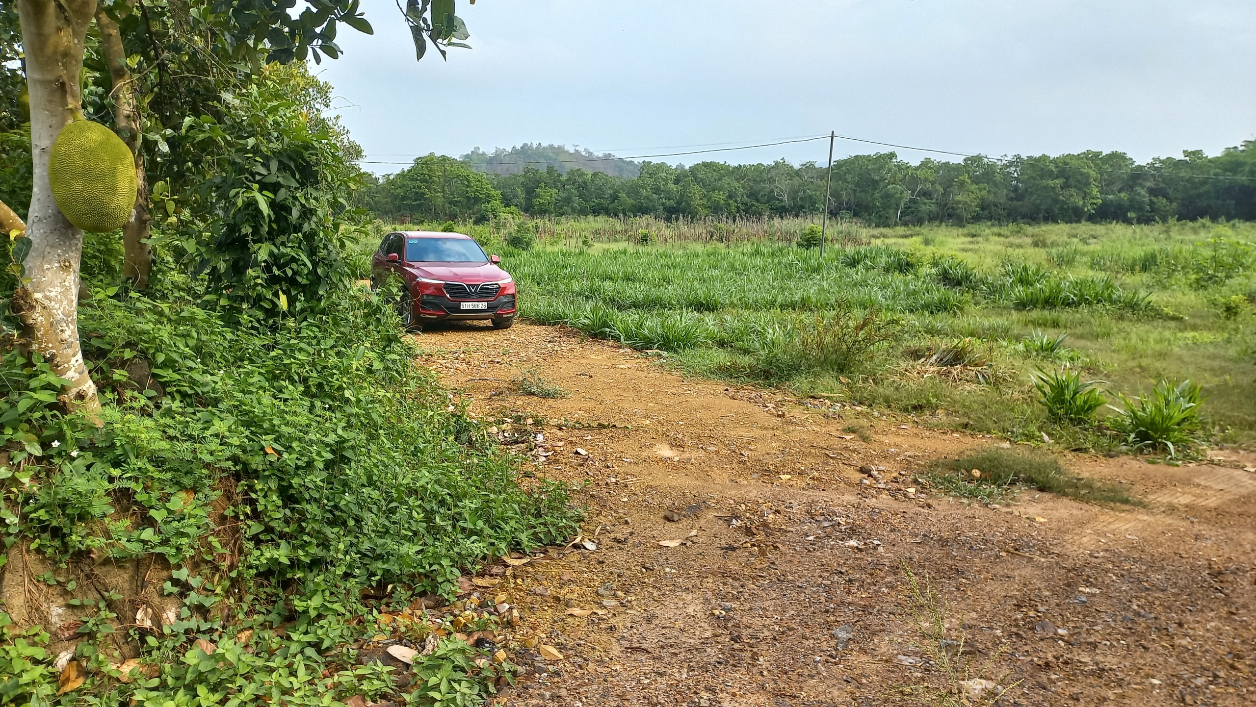 z3383585102980_f8c4a47c5d21b99c24a4c316d90de3fe