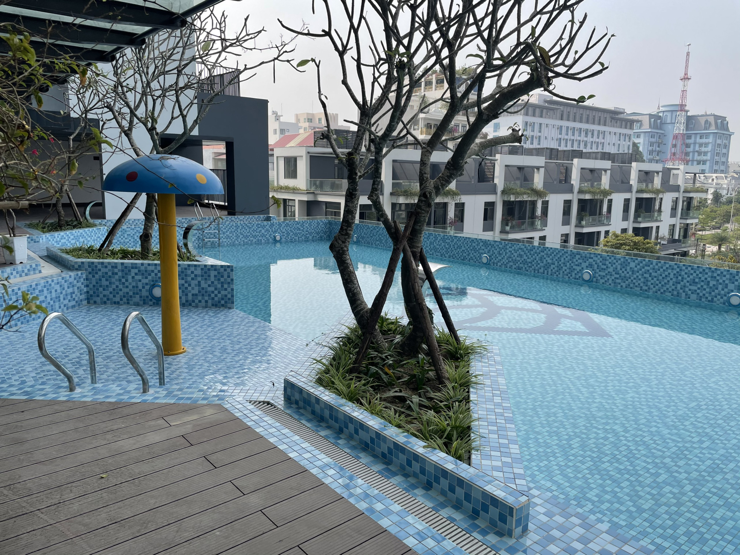 z4168280239640_6df129086ee191ef83189e5a8305a625